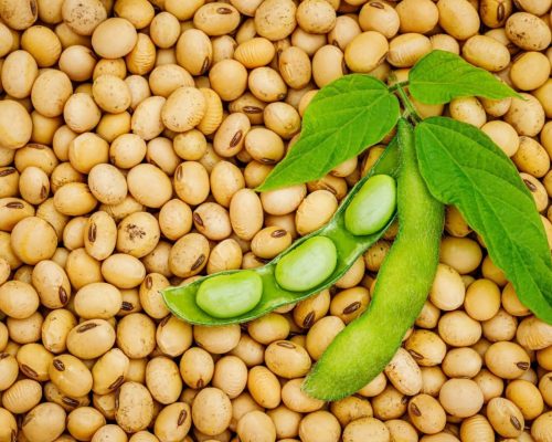 photo_2024-06-19_16-05-09